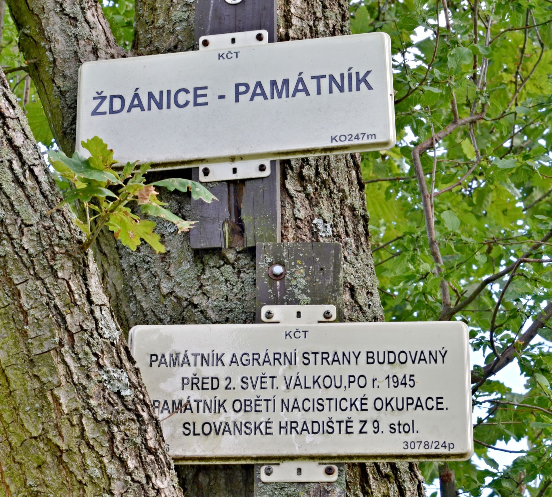 Panák